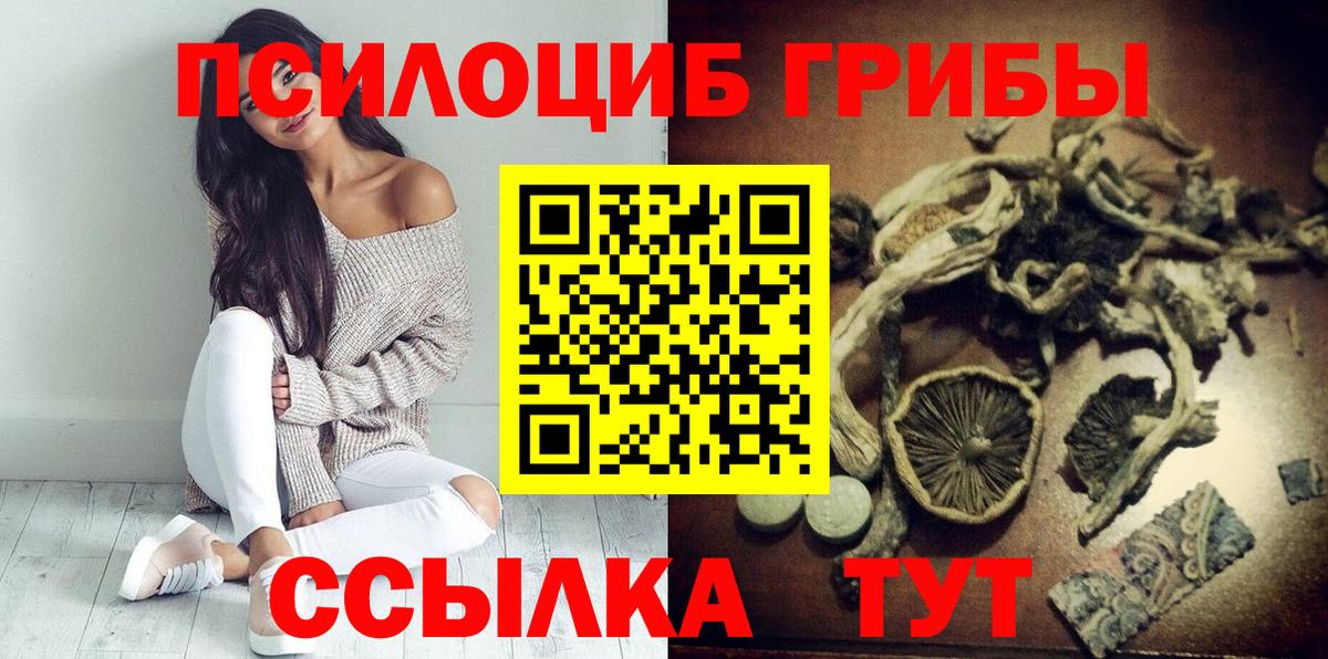 Псилоцибиновые грибы Psilocybe  Вход с VPN  Саров 